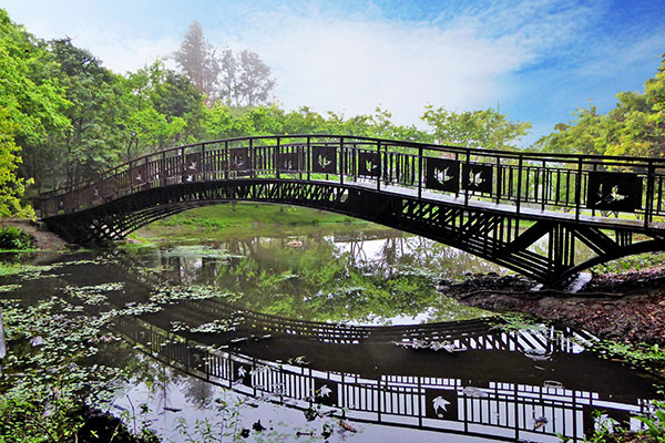 奥万大生态池上方的景观桥,造型优美/奥万大森林游乐区提供