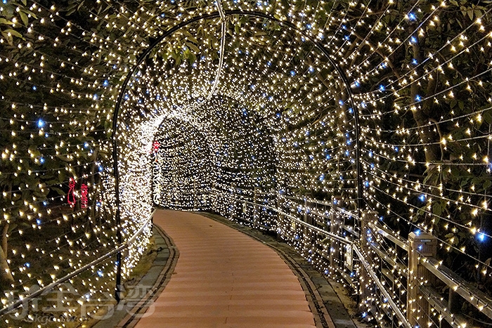 星空隧道/玩全台湾旅游网摄