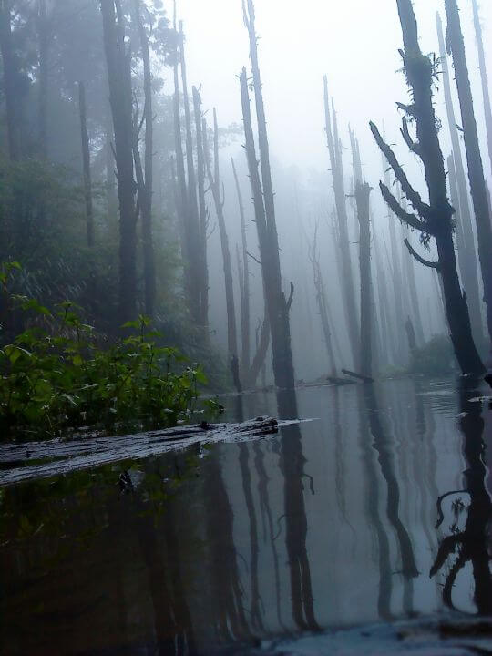 mark的林溪民宿 美景