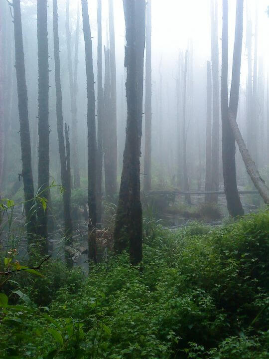 mark的林溪民宿 美景