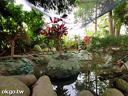 台中東勢∼宝樹園.採果樂-宝樹園.採果樂