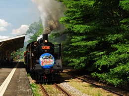 �w����{2010�n������n�h�`