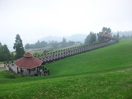 �w����{�x�W�ȹC�M�������E��Ŧ����