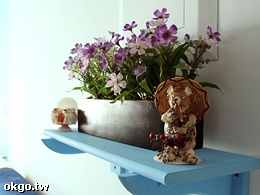 �w����{�����_�������a�鯲�M��