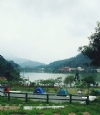 鹿谷麒麟潭-東湖露營區-溪頭露營區