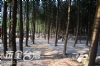 國姓露營‧水秀農場【官方網站】