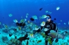 綠島海韻民宿