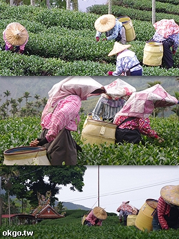�稽���J�D����s��-�稽�D����s���@�į��o�I