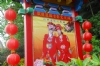 台影文化城(台影股份有限公司)