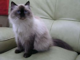 �w����{������J-������J���R�����a