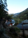 留雲軒森林渡假山莊(樹屋)