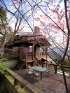 阿里山民宿•阿里山茶香花園山居小鎮