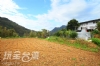 新竹尖石餐廳.790活魚山雞餐廳