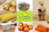 台中有機食品-Citrus多纖養生小站