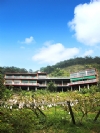 大雪山民宿‧大雪山莊園民宿