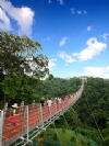 台灣Easy Play包車旅遊