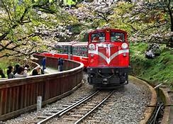 英明小客車租賃有限公司-阿里山小火車