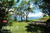拉拉山露營‧海萍茶園露營地【官方網站】