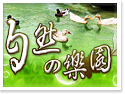 ���j�ˡD�۵Mの�ֶ�