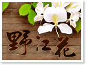 日月潭野江花民宿 日月潭野江花民宿