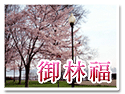 �H���s�L�֮M��