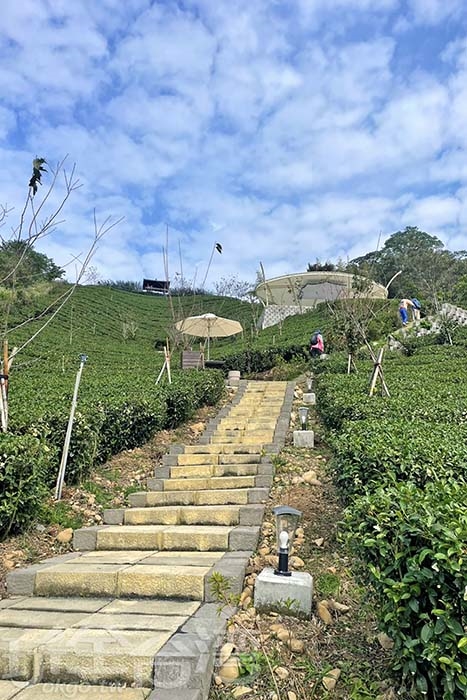照片來源：阿湖與阿釵　17/17