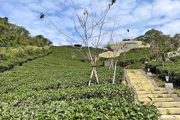 照片來源：阿湖與阿釵　4/17
