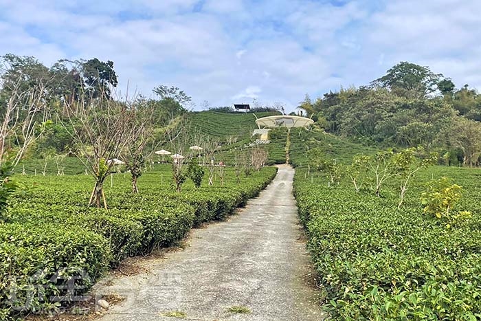 照片來源：阿湖與阿釵　7/17