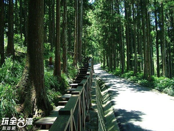 藤枝森林遊樂區高雄景點玩全台灣旅遊網