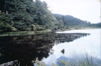 鴛鴦湖