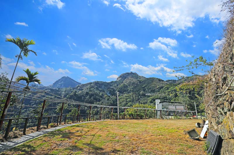 阿里山‧老村長露營區