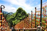 日月潭年梯步道