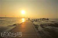 台中高美溼地