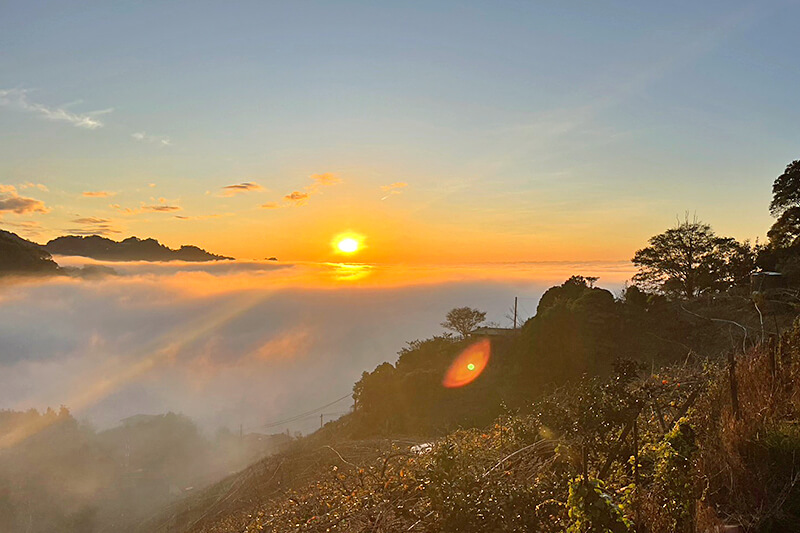 風景