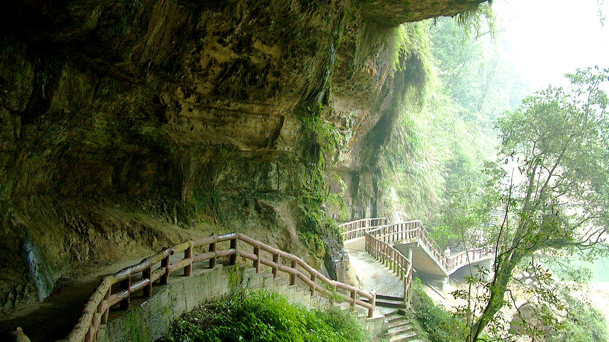 杉林溪森林生態渡假園區旅遊網
