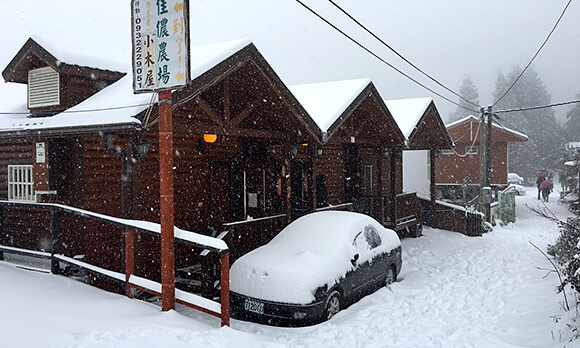 冬天下雪雪景