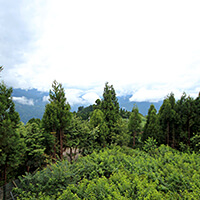 拉拉山‧和風山莊