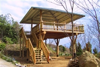 竹東櫻之林休閒農場