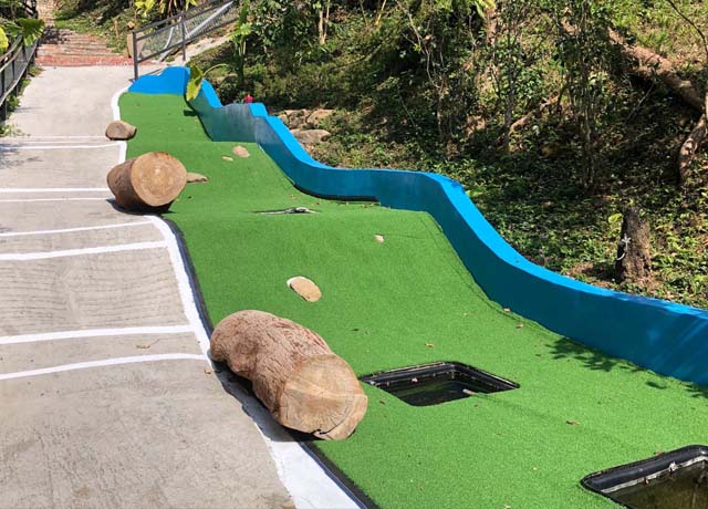 生態池