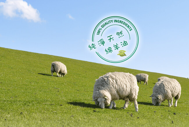 張姐‧清境‧青青草原站│特色伴手禮販售