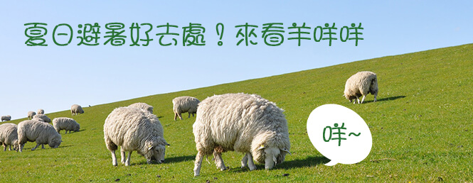 張姐‧清境‧青青草原站│特色伴手禮販售