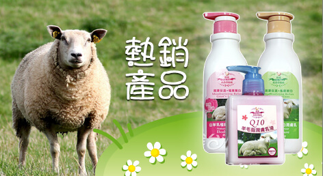 張姐‧清境‧青青草原站│特色伴手禮販售