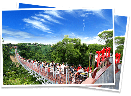 台灣包車星斗雲旅遊玩家
