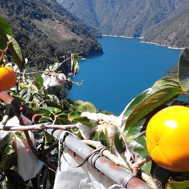 區內景觀
