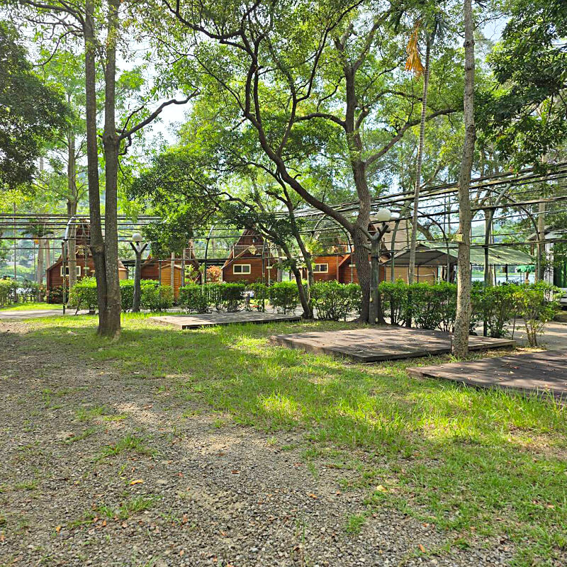 樹蔭木棧露營區