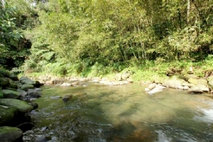 初夏雙溪輕旅行 探訪火金姑的故鄉台北新聞玩全台灣旅遊網