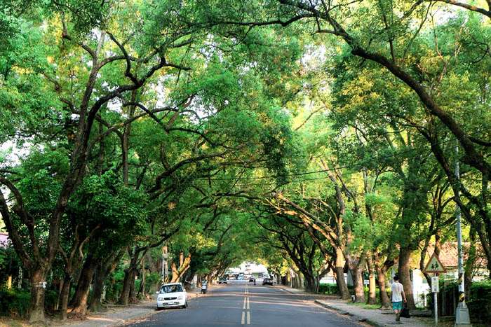 「2025南投茶博一心二夜演唱會」登場！經典X音浪雙夜開唱，還有千人泡麵等你來