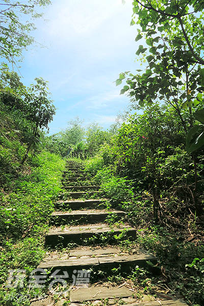 绿意盎然的生态步道/玩全台湾旅游网特约记者smallting摄