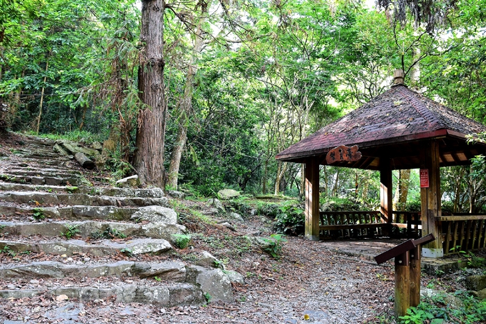 台中消暑 八仙山避暑去 爬完山就用美味包子和清涼冰棒結束這回合吧 台中新聞玩全台灣旅遊網