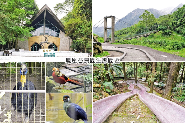 暑假去哪玩 來趟 鳳凰谷鳥園 除了有親禽互動外 更有ｖｒ實境體驗與森林溜滑梯呢 南投新聞玩全台灣旅遊網